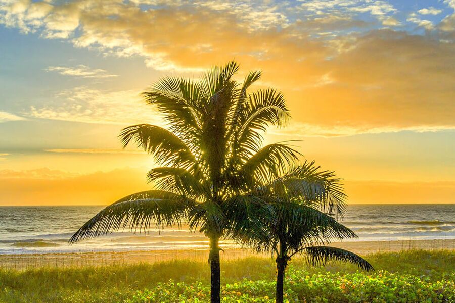 Happy Palm Stays Beach 2